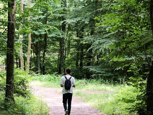 A serene path in a green forest symbolizing a journey to well-being.